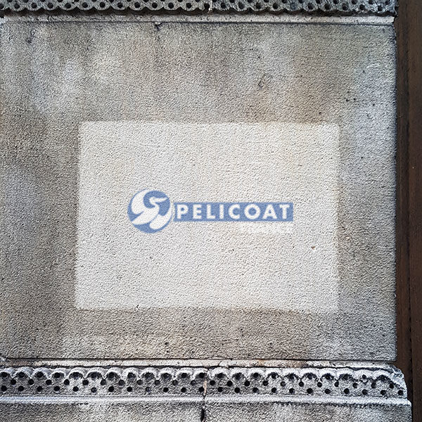 Test of professional cleaning product Pelicoat Pierre'Net